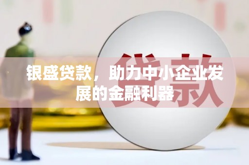 琼中银盛贷款，助力中小企业发展的金融利器