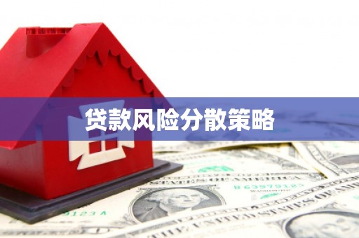 琼中贷款风险分散策略