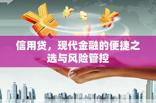 琼中信用贷，现代金融的便捷之选与风险管控