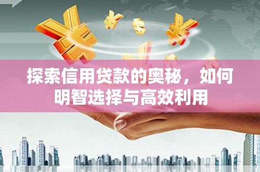 琼中探索信用贷款的奥秘，如何明智选择与高效利用
