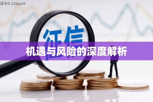 琼中机遇与风险的深度解析
