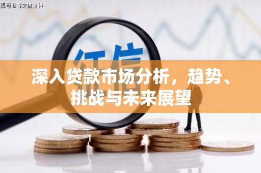 琼中深入贷款市场分析，趋势、挑战与未来展望