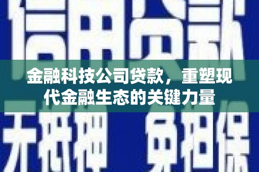 琼中金融科技公司贷款，重塑现代金融生态的关键力量