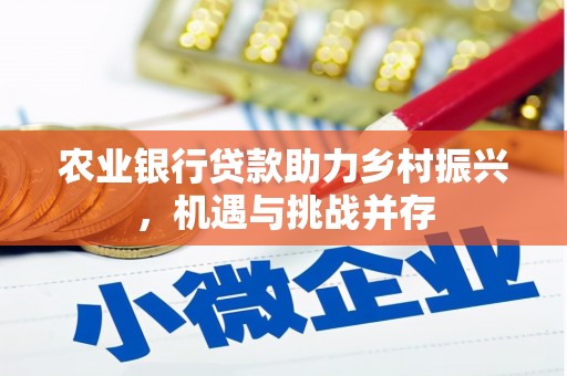 琼中农业银行贷款助力乡村振兴，机遇与挑战并存