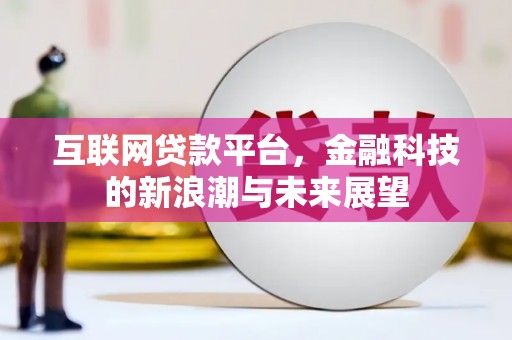 琼中互联网贷款平台，金融科技的新浪潮与未来展望