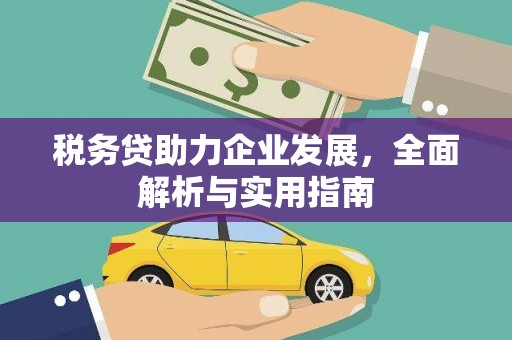 琼中税务贷助力企业发展，全面解析与实用指南