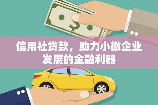 琼中信用社贷款，助力小微企业发展的金融利器