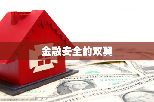 琼中金融安全的双翼