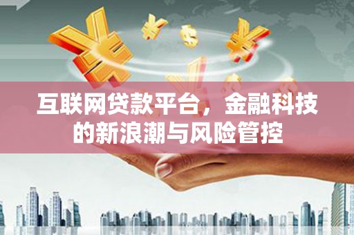 琼中互联网贷款平台，金融科技的新浪潮与风险管控