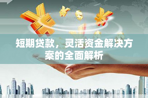 琼中短期贷款，灵活资金解决方案的全面解析