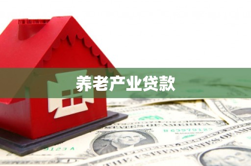 琼中养老产业贷款