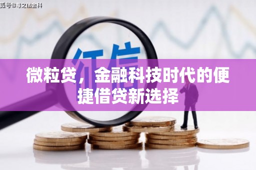 琼中微粒贷，金融科技时代的便捷借贷新选择
