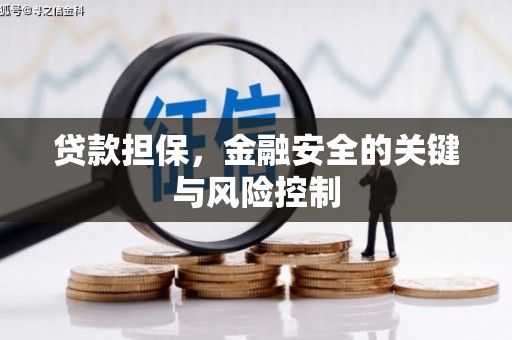 琼中贷款担保，金融安全的关键与风险控制