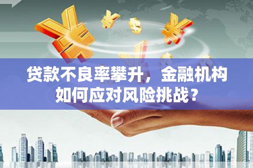 琼中贷款不良率攀升，金融机构如何应对风险挑战？