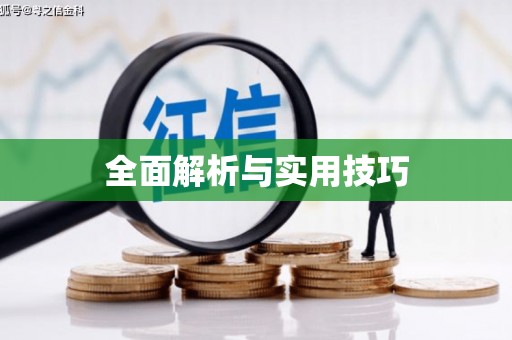 琼中全面解析与实用技巧