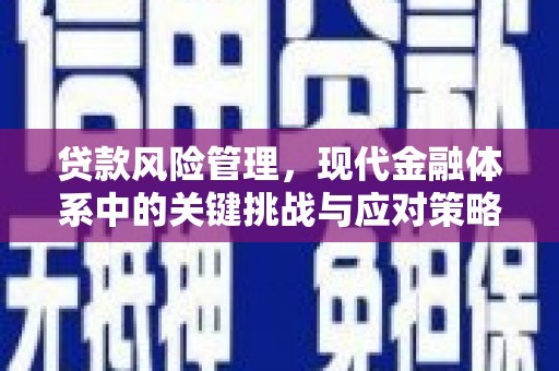 琼中贷款风险管理，现代金融体系中的关键挑战与应对策略