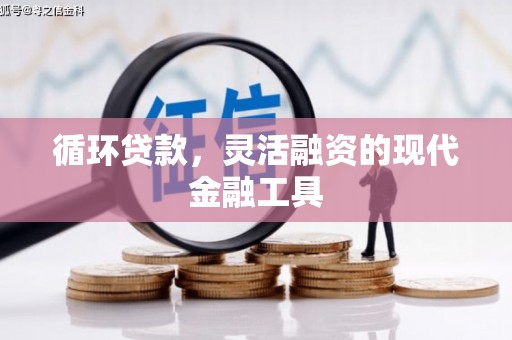 琼中循环贷款，灵活融资的现代金融工具