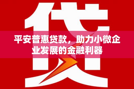琼中平安普惠贷款，助力小微企业发展的金融利器