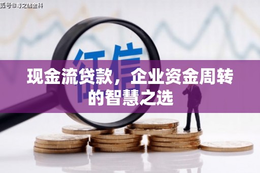 琼中现金流贷款，企业资金周转的智慧之选