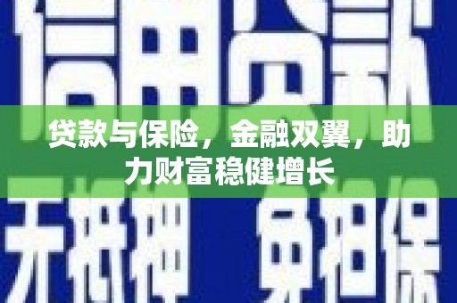 琼中贷款与保险，金融双翼，助力财富稳健增长