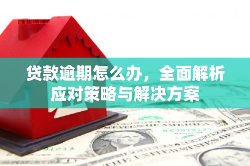 琼中贷款逾期怎么办，全面解析应对策略与解决方案