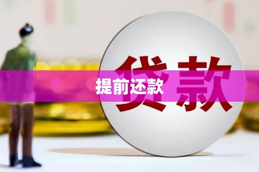 琼中提前还款