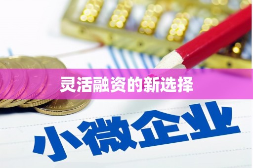 琼中灵活融资的新选择