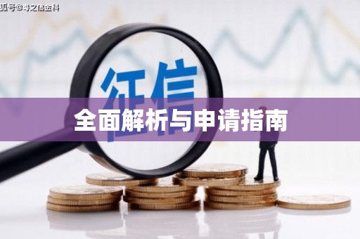 琼中全面解析与申请指南