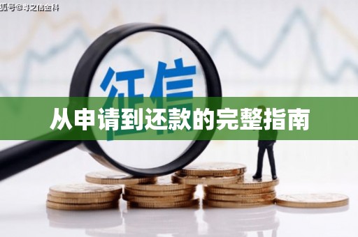 琼中从申请到还款的完整指南