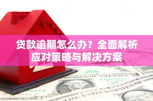 琼中贷款逾期怎么办？全面解析应对策略与解决方案