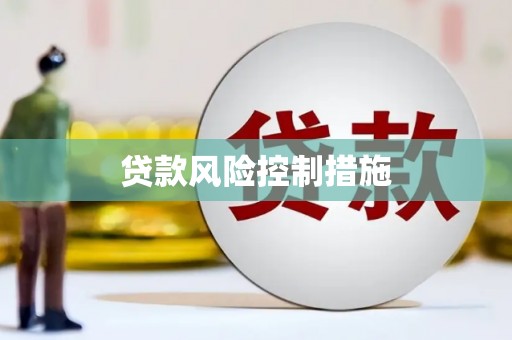 琼中贷款风险控制措施