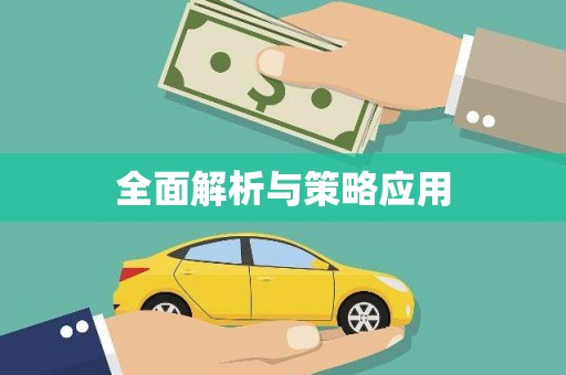 琼中全面解析与策略应用