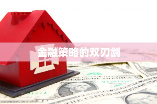 琼中金融策略的双刃剑