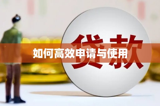 琼中如何高效申请与使用
