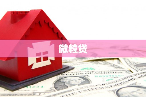 琼中微粒贷