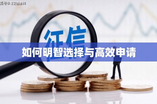 琼中如何明智选择与高效申请