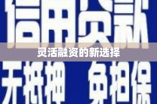 琼中灵活融资的新选择