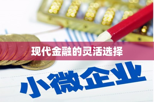 琼中现代金融的灵活选择