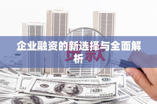 琼中企业融资的新选择与全面解析