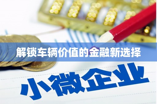 琼中解锁车辆价值的金融新选择