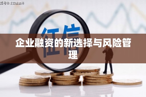 琼中企业融资的新选择与风险管理