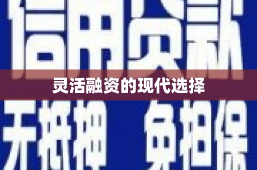 琼中灵活融资的现代选择