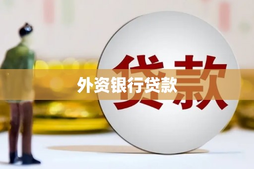 琼中外资银行贷款