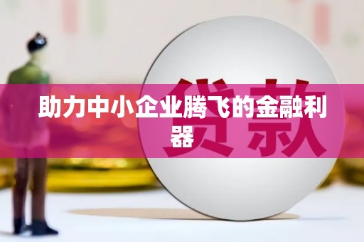 琼中助力中小企业腾飞的金融利器