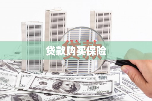 琼中贷款购买保险