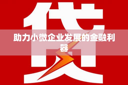 琼中助力小微企业发展的金融利器