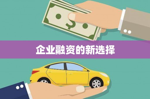 琼中企业融资的新选择
