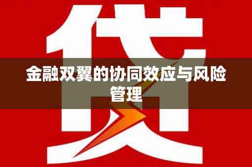 琼中金融双翼的协同效应与风险管理