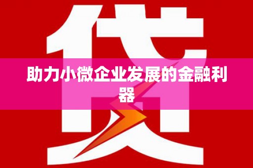 琼中助力小微企业发展的金融利器