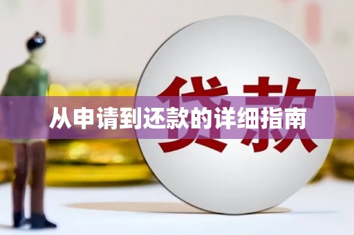 琼中从申请到还款的详细指南